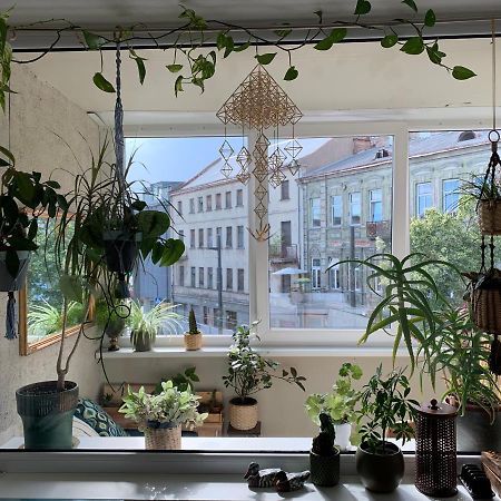 Three Bedroom With Two Terraces For 7People+Baby Kowno Zewnętrze zdjęcie
