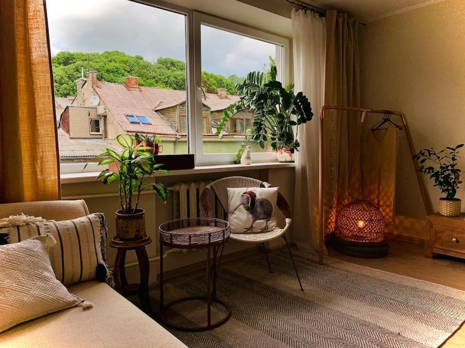 Three Bedroom With Two Terraces For 7People+Baby Kowno Zewnętrze zdjęcie