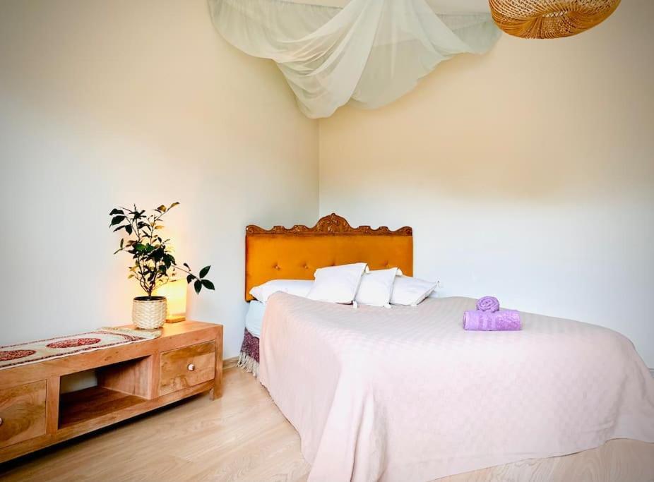 Three Bedroom With Two Terraces For 7People+Baby Kowno Zewnętrze zdjęcie