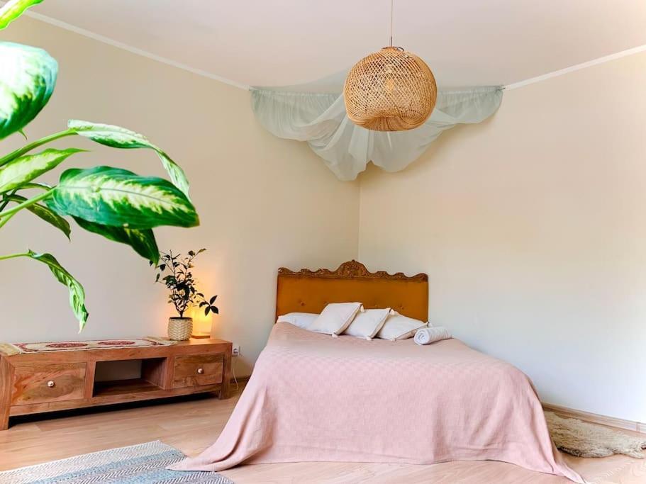 Three Bedroom With Two Terraces For 7People+Baby Kowno Zewnętrze zdjęcie