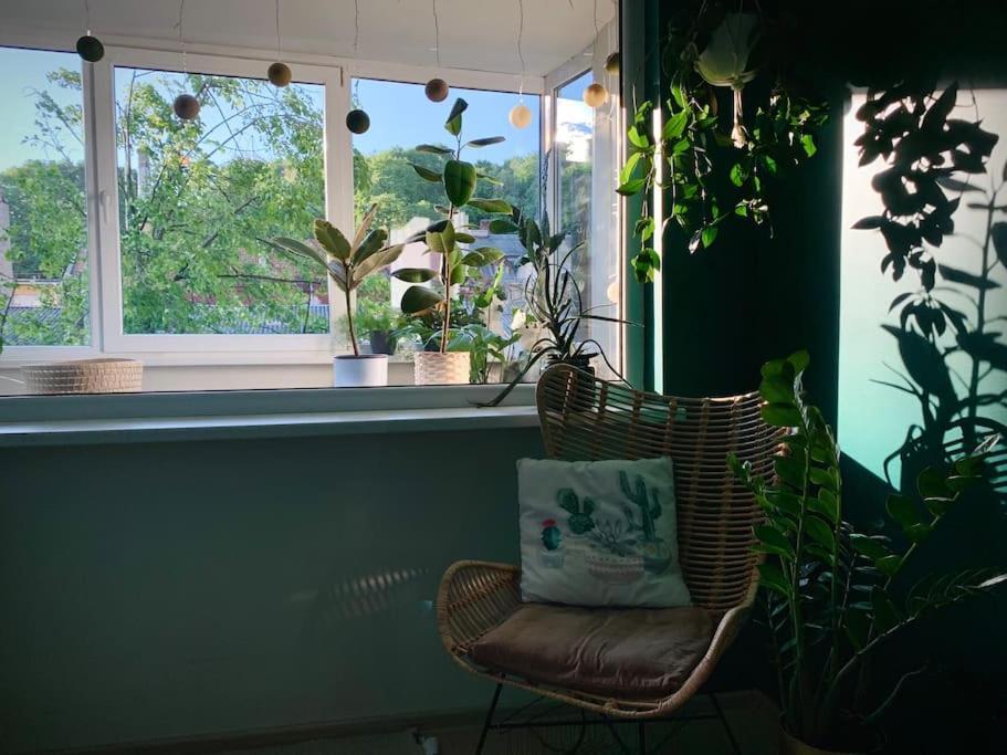 Three Bedroom With Two Terraces For 7People+Baby Kowno Zewnętrze zdjęcie